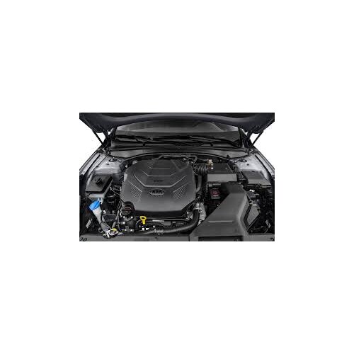 For Kia Cadenza/K7 sedan YG 2017-2020 Front Hood Gas Spring Lift Supports Struts Rod Arm Shocks