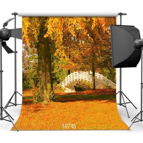 Autumn Photography Backdrops Fallen leaves Old Tree Bridge Sunny Backgrounds for Photo Studio Theater Vinyl Cloth 3D Customized