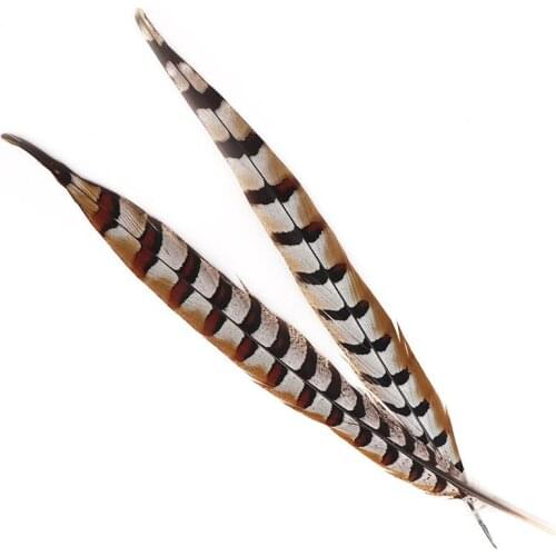 Wholesale 50pcs/lot Beautiful Pheasant Feathers 45-50cm/18-20inch Home Carnival DIY Decoration Feathers for Crafts
