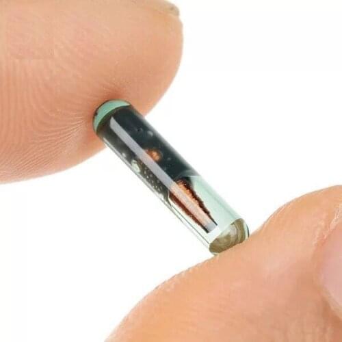 10pcs Chip Rfid Tag Glass Transponder for animal injection with 125KHZ Microchip 2.12*12mm