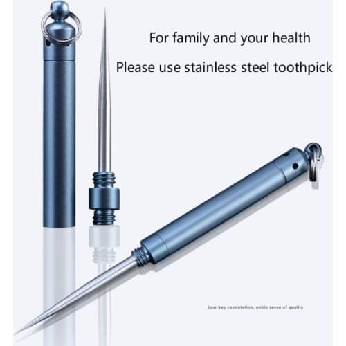 Outdoor EDC Toothpick Bottle Fruit Fork Stainless Steel Toothpick With Protective Case Holder Portable Multi Camping Picnic Tool