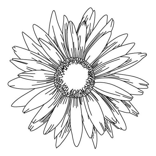 Daisy Transparent Clear Silicone Stamp/Seal for DIY scrapbooking/photo album Decorative clear stamp sheets A1895