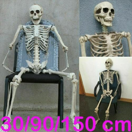 Halloween Prop Human Skeleton Luminous Full Size Skull Hand Life Body Body Poseable Anatomy Model Party Festival Decoration