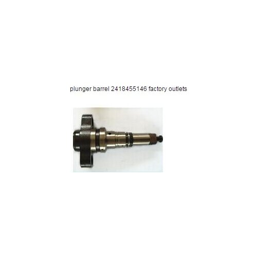 New high quality factory outlets diesel fuel plunger 2418455146