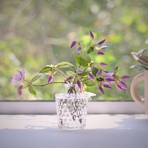 Transparent Glass Vase Hydroponic Plant Table Vase Home Decor Fresh Flower Container Jar Scandinavian Floral Storage Bottle