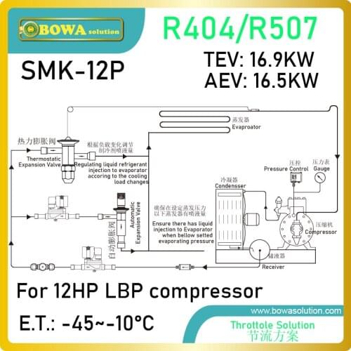 12HP, R404a expansion valve kits is great design for frozen tunnels or food process equipments to match ambient temp. changes