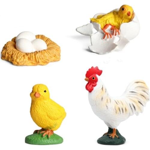 Simulation Farm Animals Cock Life Growth Cycle Plastic Animals Figurines Collection Educational Toys