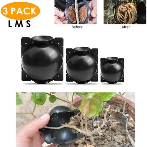 3pcs Plant Rooting Ball Grafting Rooting Growing Box Breeding Case Plant Root Growing Box For Garden 5/8/12cm In Diameter