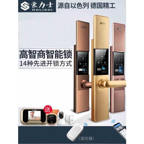 HAOLISHI new smart home security door electronic lock fingerprint password magnetic card sensor APP doorbell D12