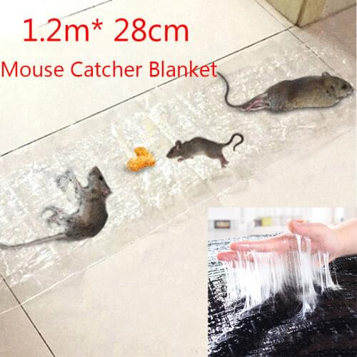 1PCS Bird Nest Hollow Hanging Cage Eggs Hatching Tool For Pan Finch Parrot Canary Color Random