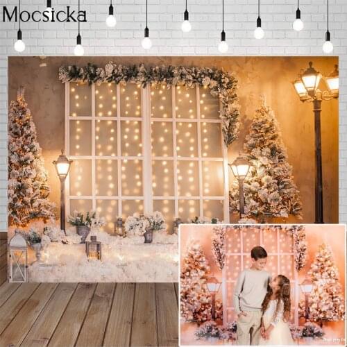 Photography Backdrops Christmas Tree Potted Plants Winter Snow Street Lamp White Window Christmas Background For Photo Studio