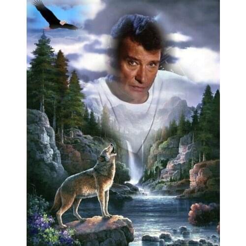 5d diy diamond painting "Johnny Hallyday" mosaic puzzle picture of rhinestones cross-stitch Wolf eagle Diamond embroidery