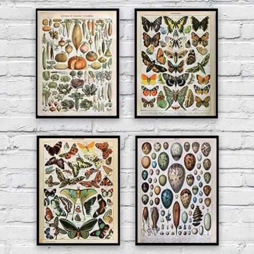 Palaeobios Plant Retro Poster Flower Animal Insect Butterfly Mushrooms Canvas Painting Wall Art Pictures Home Decoration