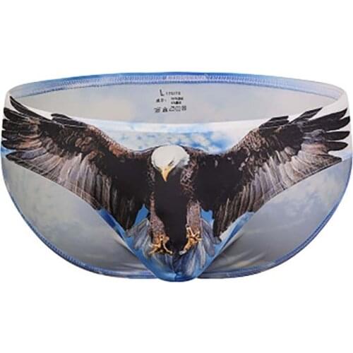 Men Underwear Sexy Printed Briefs Low Rise Soft Comfortable U Convex Pocket Breathable Panties Cool Male Brother Gay Intimates