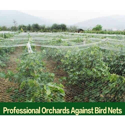 Garden Vegetable Insect Net Cover Plant Flower Care Protection Network Bird Insect Pest Prevention Control Mesh 3*5m Long #T1P