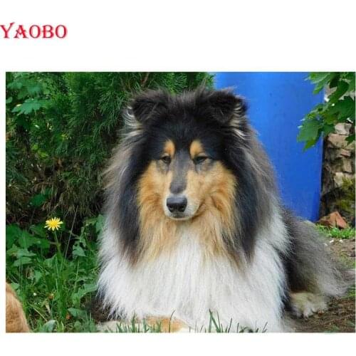 Diy diamond embroidery collie cute pet dog diamond painting Cross Stitch,3D Full square rhinestone embroidery,drill Mosaic,Decor