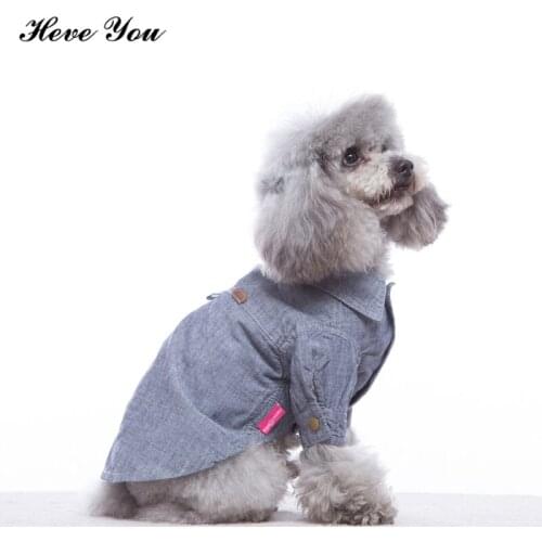 Heve You T-shirts For Dogs