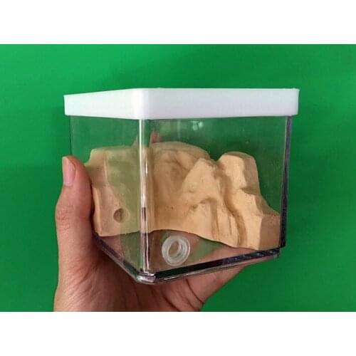 Laminated Ecological Ants Nest Size 10x8x8CM Mini Ants Villa Farm Keep Moisture Long Time Kids Birthday Gifts Toys Insect Cages