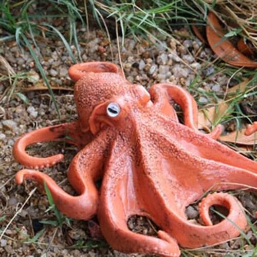 4Pcs Octopus Growth Figure Insect Life Cycle Model Education Cognitive Toy
