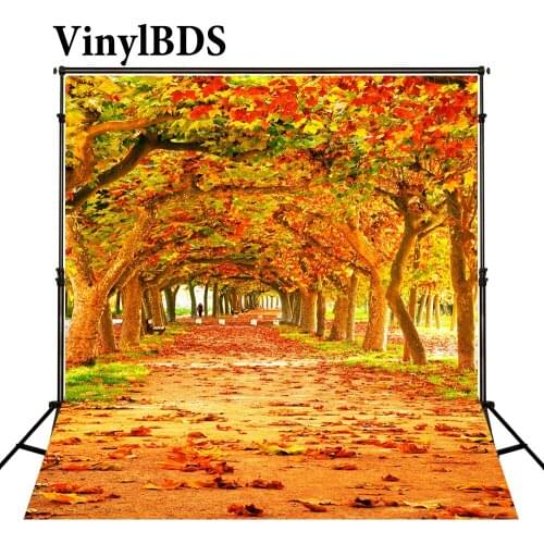 VinylBDS Autumn Leaves Backdrops Nature Scenery Children Photo for Kids Forest Photography Background for Studio