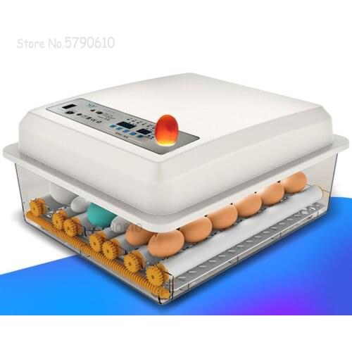 Water bed incubator automatic small household peacock incubator duck goose pigeon chick incubator