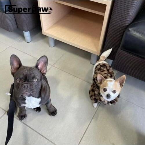 New Pet Dog PU Leather Backpack Bag With Hat Adjustable Bags For Puppy Small Medium Dogs Schnauzer French Bulldog Pug YKB04