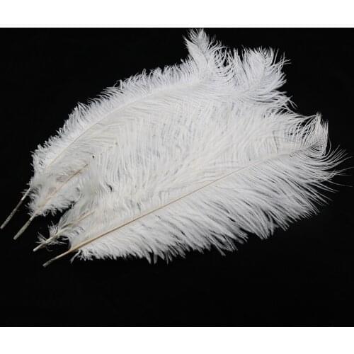 Wholesale white ostrich feathers feather for crafts 10pcs 15-75CM 6-30inch diy party carnival dancers decoration plumes