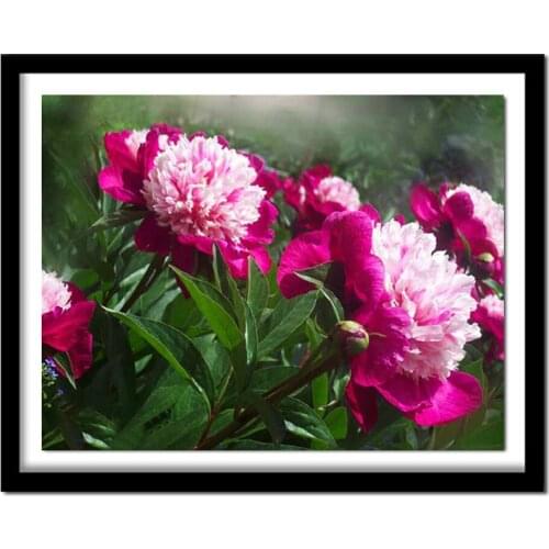 Peony flower Diamond Embroidery Needlework Diy Diamond Painting Cross Stitch Kit 5D Rhinestone Home Decoration painting C705