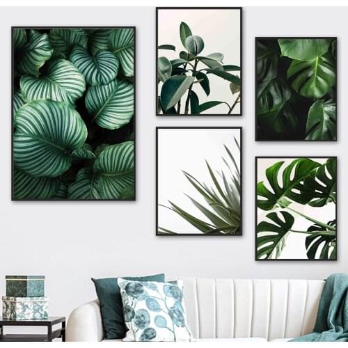 Monstera Arrowroot Leaf Green Plant Wall Art Canvas Painting Nordic Posters And Prints Wall Pictures For Living Room Home Decor