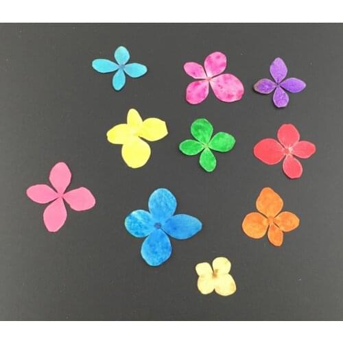100pcs Mini Pressed Dried Hydrangea Flower For Wedding Party Home Pendant Necklace Craft DIY Bouquet Accessories