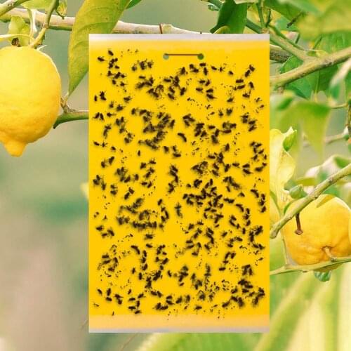 20Pcs Dual-Sided Yellow Adhesive Fly Pest Bug Catcher Plate Insect Trap Tool