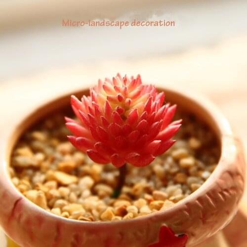 APRICOT Top Quality MINI Artificial Flower Fleshiness Cactus Plant real touch Palm flower for home decoration Micro-landscape de