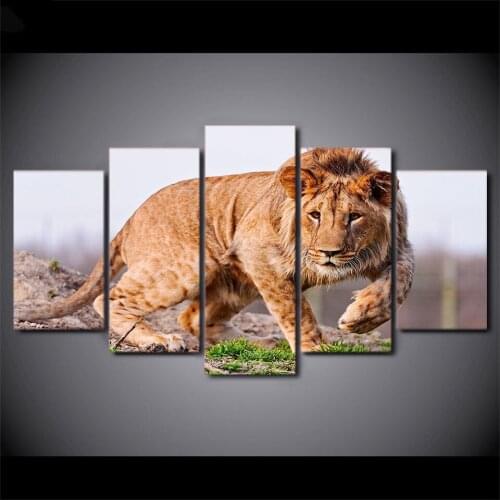 DIY diamond painting Animals Lion Kids Room 5d round&spuare 5d diamond embroidery diamond cross stitch plastic crafts painting