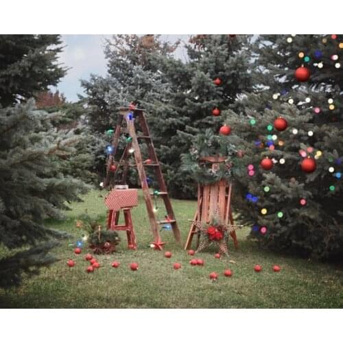 Winter merry christmas outdoor decorations pine tree backgrounds Computer print children kids backdrops