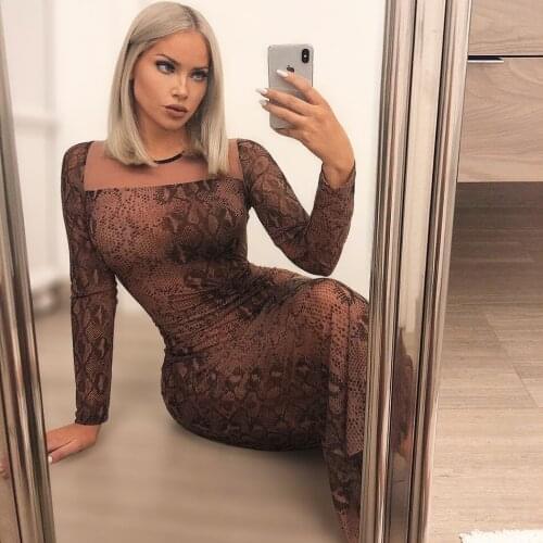 Sexy And Stylish Rayon Sheer Reptile Snake Print Maxi Dress Mesh Skinny Long Dress Long Dress With A Split At The Back