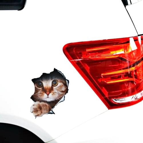 Aliauto Car Accessories 3D Simulation Cute Dog Cat Car Sticker Decal for Motorcycle Trunk Laptop Smart Polo Golf Audi Focus Bmw