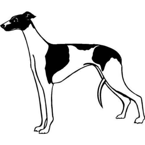 15*12.7CM Greyhound Dog Vinyl Decal Window Stickers Personality Car Windshield Decorative Decals C6-0508