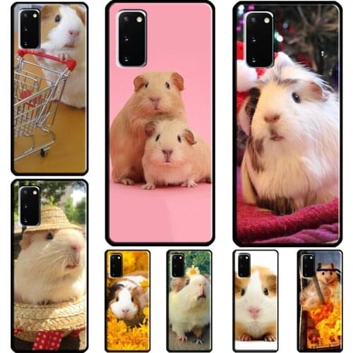 Squirrel Guinea Pig Mouse Coque For Samsung Galaxy Note 20 Ultra Note 10 Plus S20 FE S21 Ultra S8 S9 S10 Plus Case