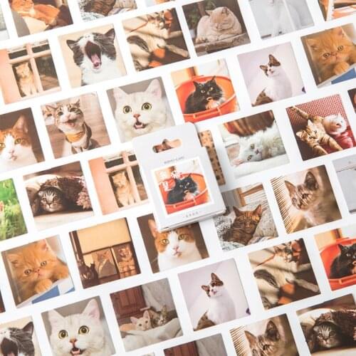 46pcs Lomo Picture Cat Stickers Set Mini Kwaii Kitties Photo Note Sticker Home DIY Art Decoration Adhesive Diary Album Gift F854