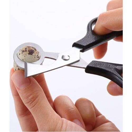 HOT Pigeon Quail Egg Scissor Bird Cutter Opener Kitchen Tool Clipper Sale shells Scissors Cracker Cigar Stainless Steel Blade