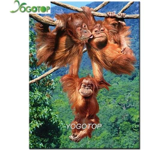 5d diy diamond painting monkey rhinestones picture diamond embroidery full display diamond mosaic animal Home decor YY2086