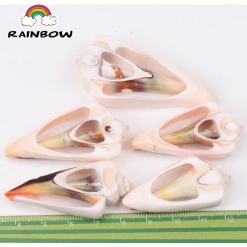 Natural Spiral Shell Loose Beads Charm Conch At Random Gold For Decoration Jewelry Making DIY Accessories 40-53mm 5pcs