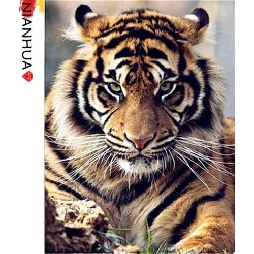 Diamond Painting King Of The Jungle Tiger Animal World Beast Mosaic Mural Art Square Round Photo Embroidery 5D DIY Set Gift Home