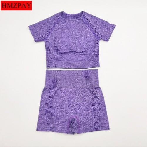 Summer Women Seamless Yoga Sets Fitness Sports Suits GYM Clothing Short sleeve T-Shirts High Waist shorts Workout Pants Tops