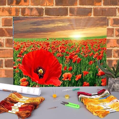 Poppy Flower Printed 11CT Cross-Stitch DIY Embroidery Full Kit DMC Threads Hobby Sewing Handiwork Handmade Magic Wholesale