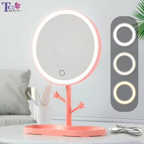 LED Makeup Mirror With Light Ladies Storage Makeup Lamp Desktop Rotating Vanity Mirror Round Shape Cosmetic Mirrors for Bedroom
