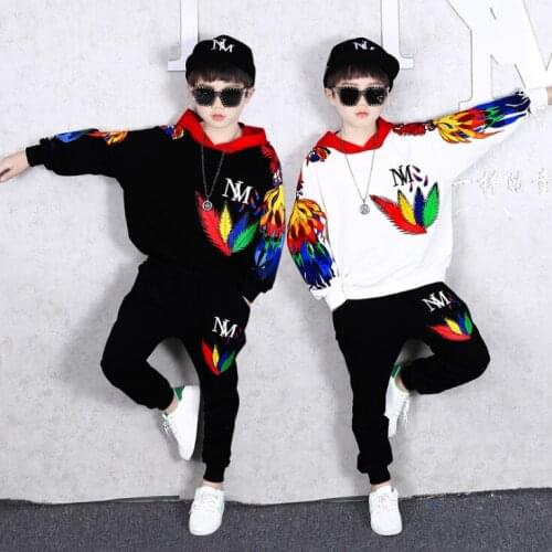 Boys Girls Clothes Set Sweatshirt Pants 2 Piece Outfits Spring Autumn Kids Sports Suit Children Clothing Set 7 8 9 10 11 12 14 Y