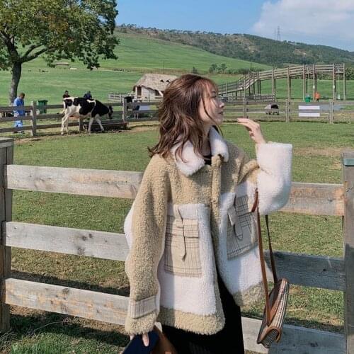 Women Winter New Korean Version of Lamb Wool Coat Vintage Female Plus Velvet Thick Loose Stitching Lamb Cashmere Coat