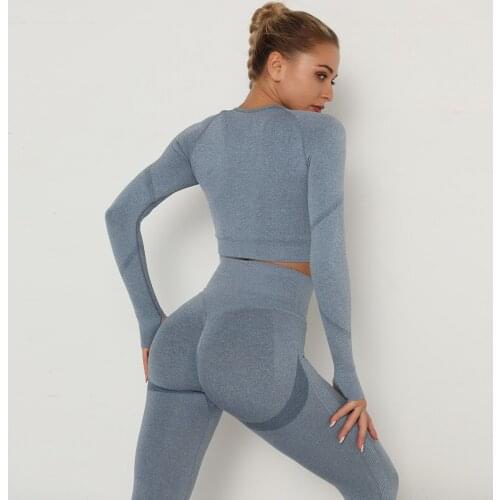 Seamless Yoga Wear Suit High Waist Fitness Pants Womens Tight Long Sleeve Sports Suit