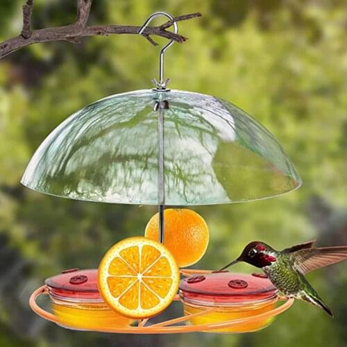 Plastic Hanging Bird Feeder w/ Clear Roof, Squirrel Proof Feeding Station, Garden Hanging Seed Container, Seed Dispenser Decor